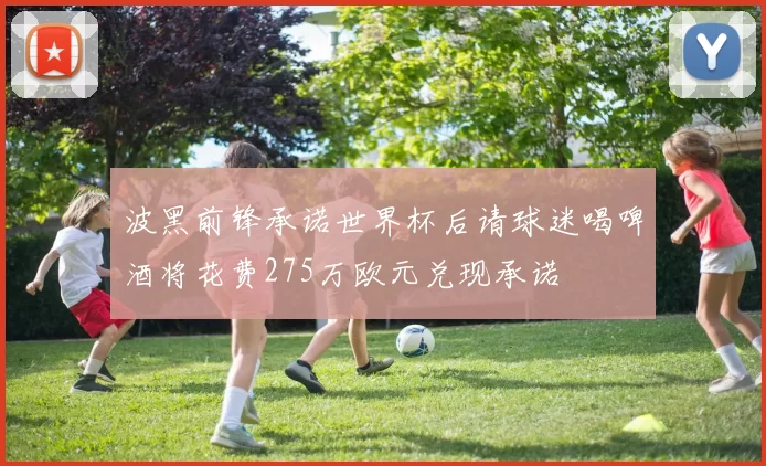 波黑前锋承诺世界杯后请球迷喝啤酒将花费275万欧元兑现承诺