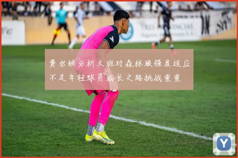 费尔顿分析文班对森林狼强度适应不足年轻球员成长之路挑战重重