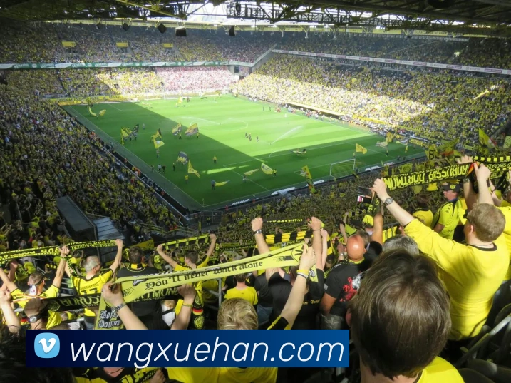 易游官网入口APP 体育赛事宣传图